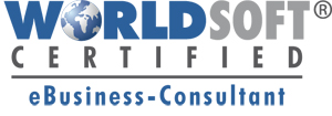 ebusiness consultant