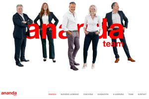ananda team
